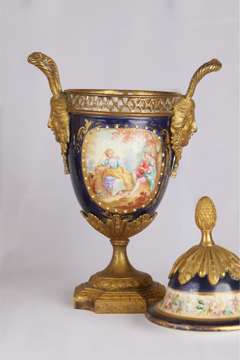 Coppia di vasi di Sevrès, Francia sec.XIX.-photo-3