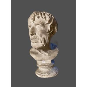 Plaster Bust