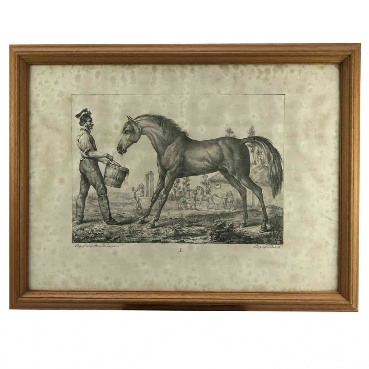 Luigi Giarré Razze di Cavalli Conosciute in Europa Firenze 1822-photo-3