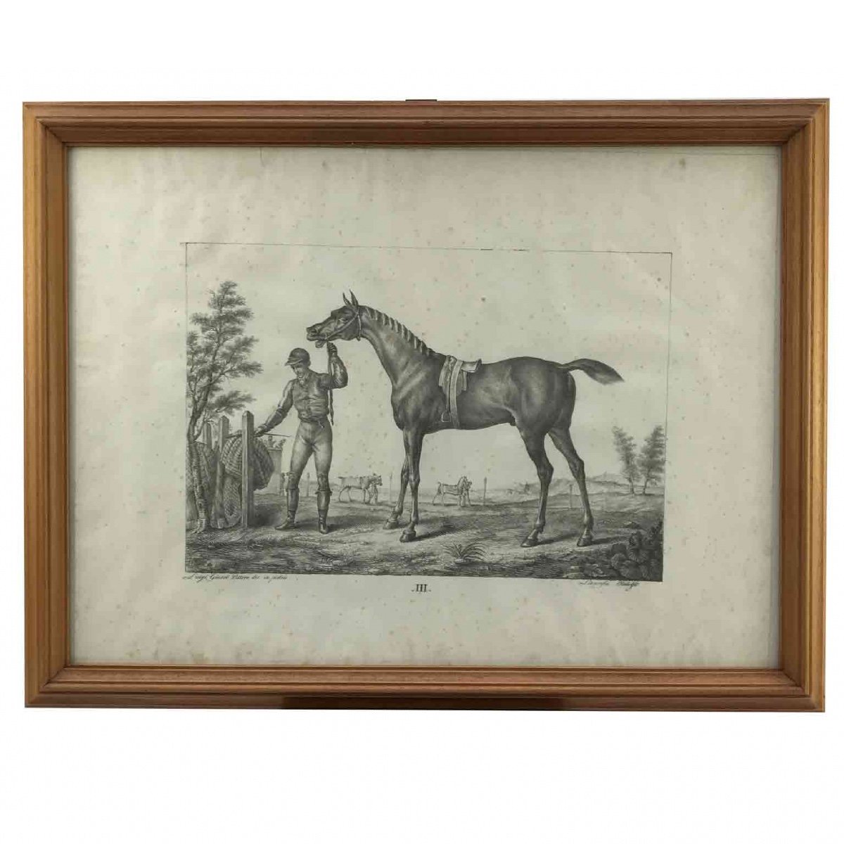 Luigi Giarré Razze di Cavalli Conosciute in Europa Firenze 1822-photo-1