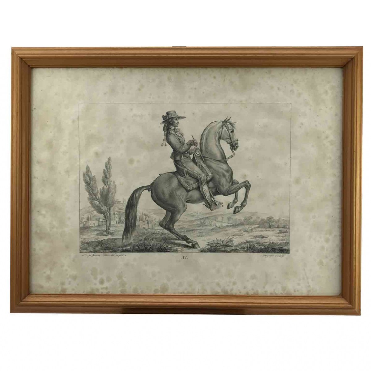 Luigi Giarré Razze di Cavalli Conosciute in Europa Firenze 1822-photo-2