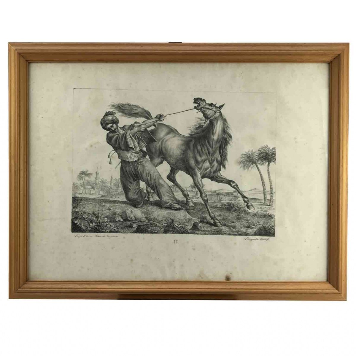 Luigi Giarré Razze di Cavalli Conosciute in Europa Firenze 1822-photo-5