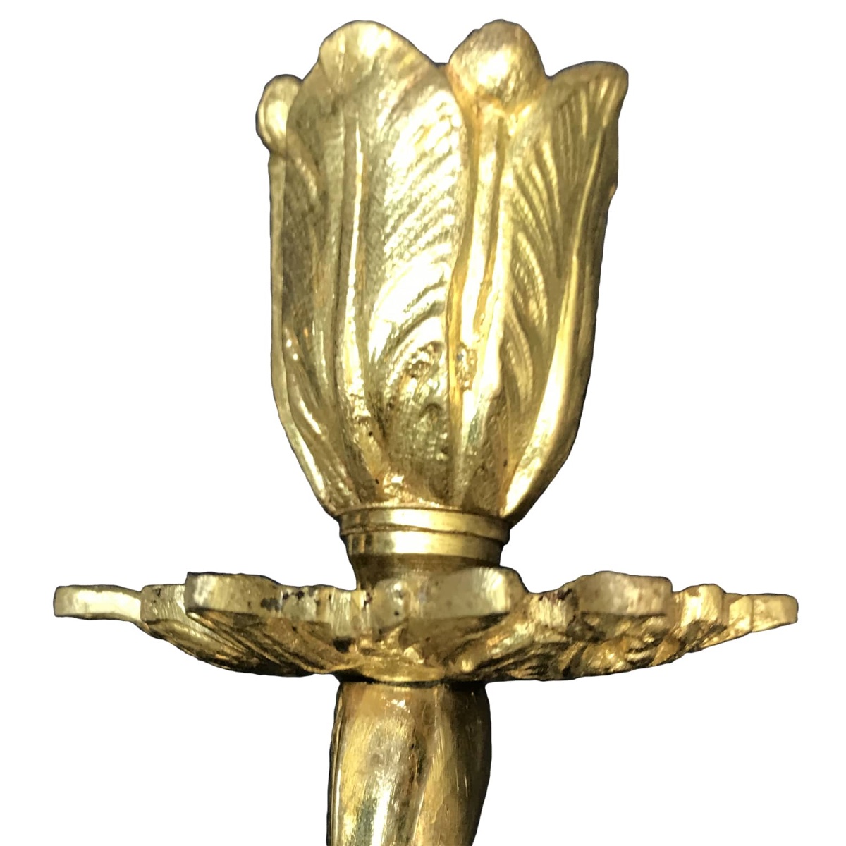 Coppia di Appliques in Bronzo Dorato-photo-4