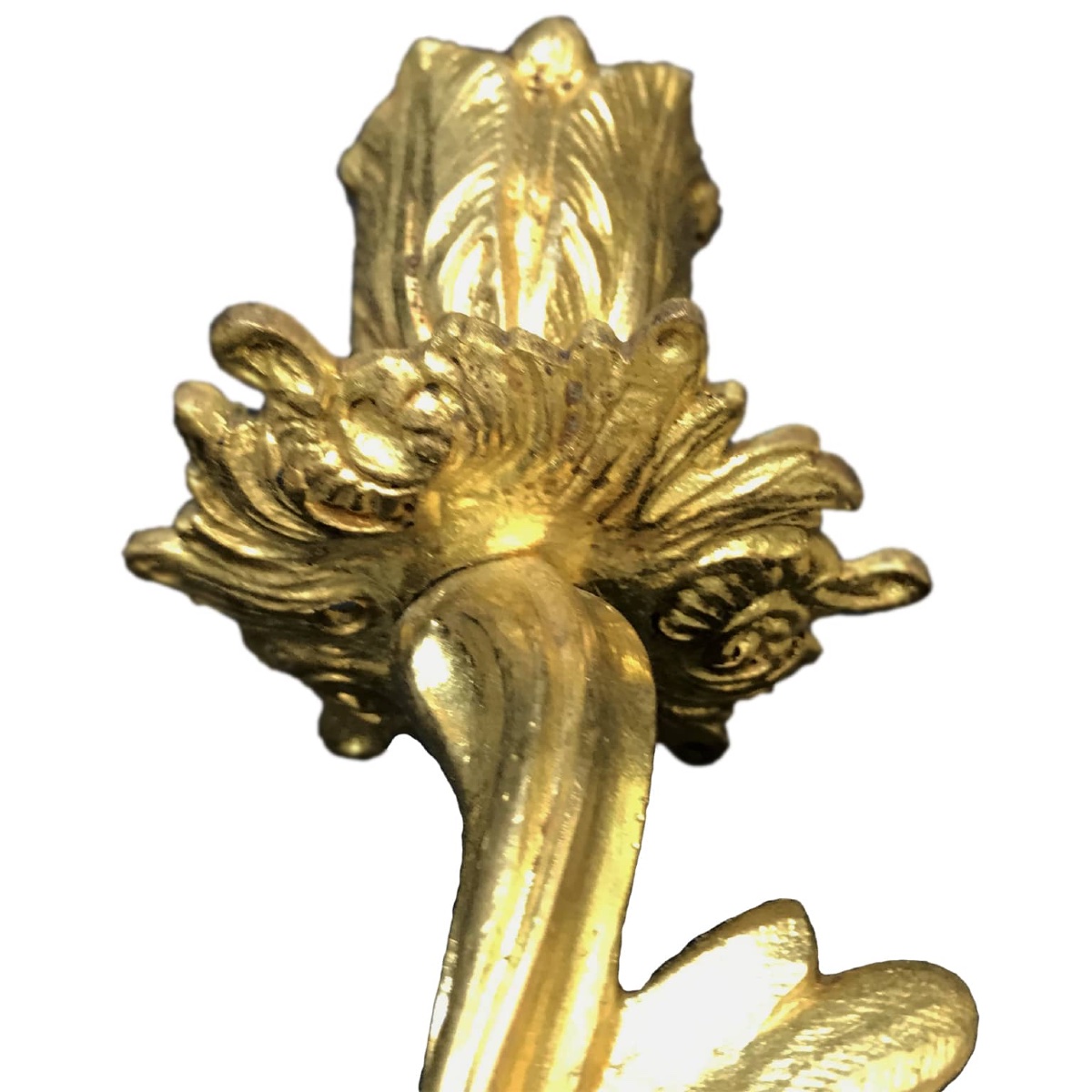 Coppia di Appliques in Bronzo Dorato-photo-5