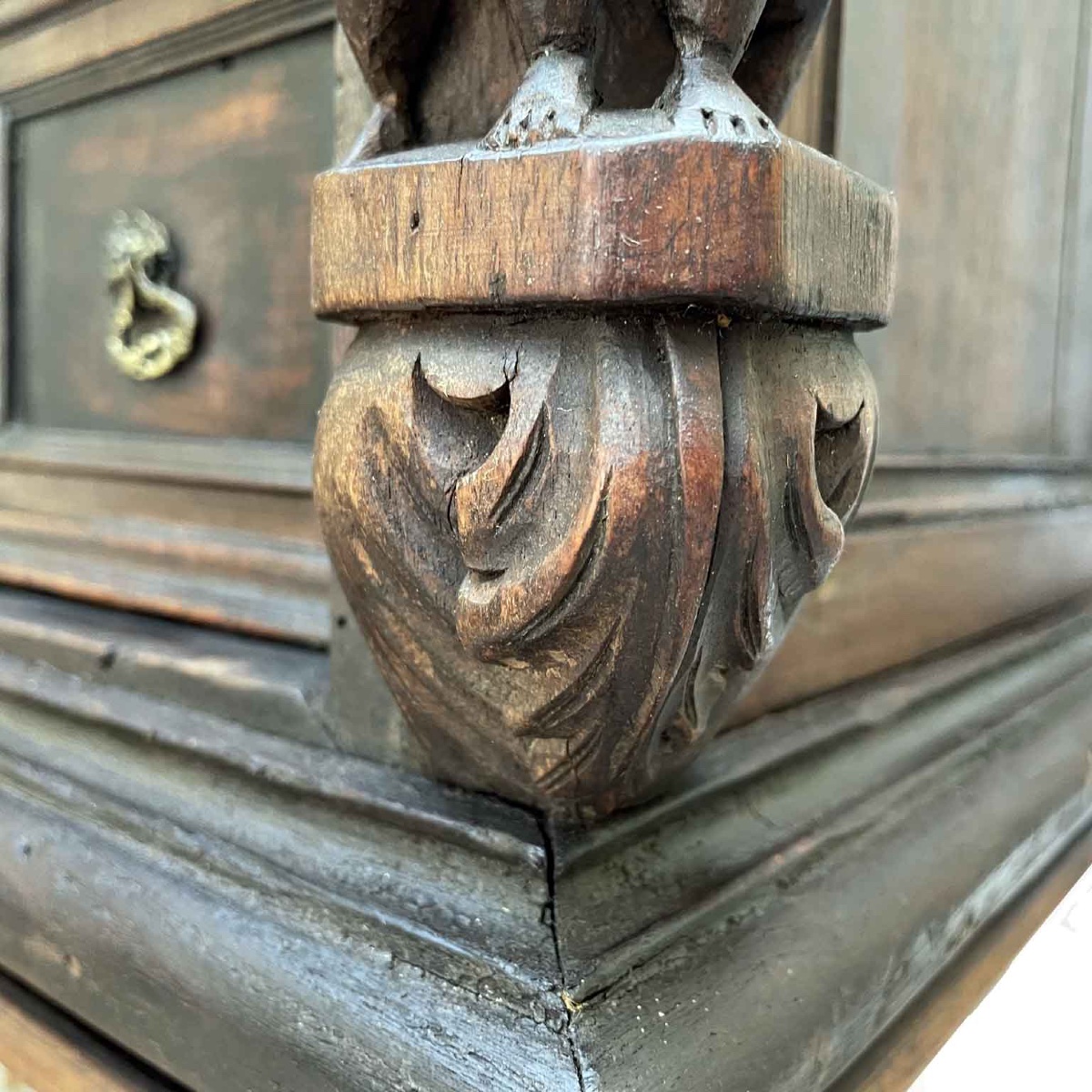 Monetiere Genovese Antico del 1600-photo-5