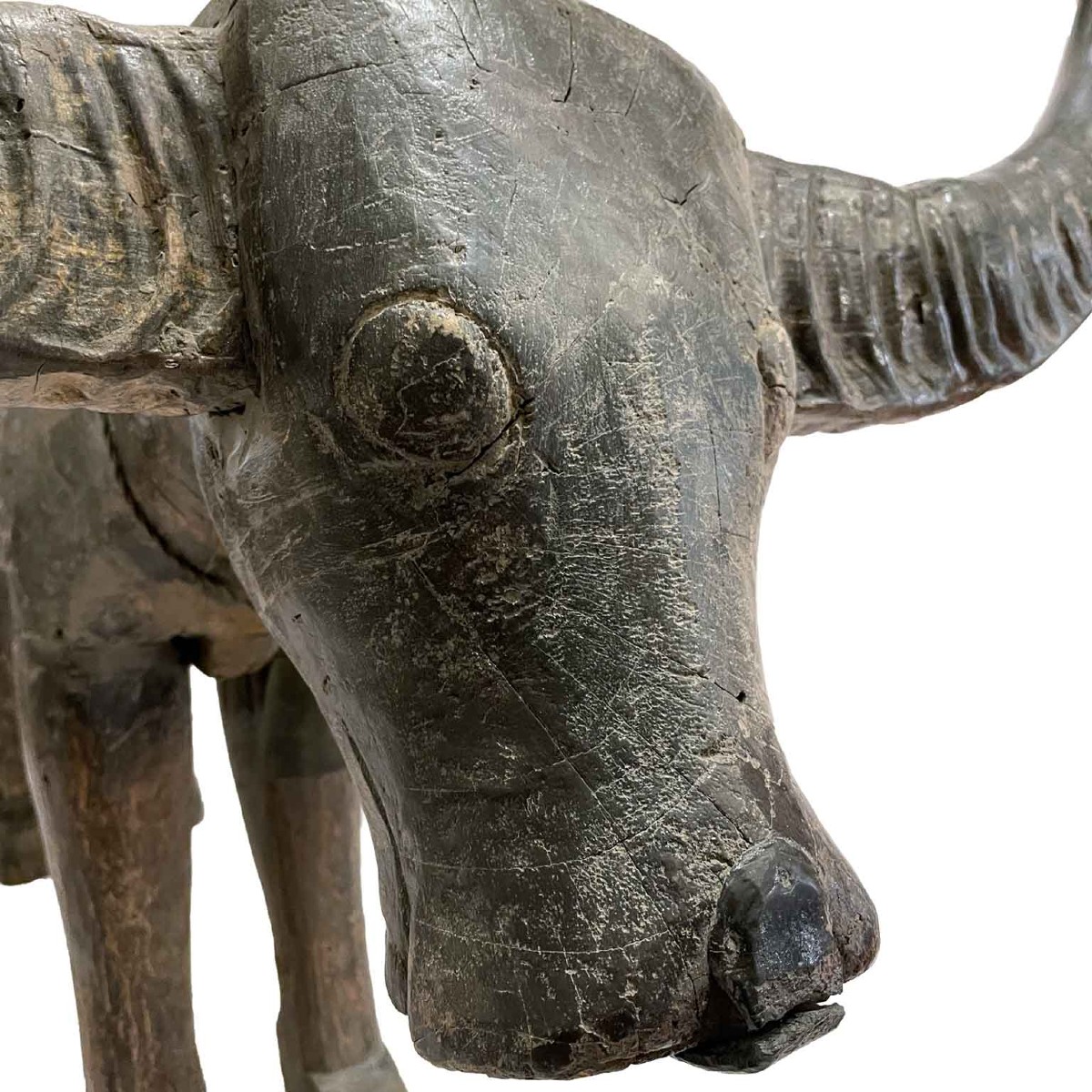 Bufalo D Acqua Scultura Orientale In Legno Con Corna 1800-photo-2