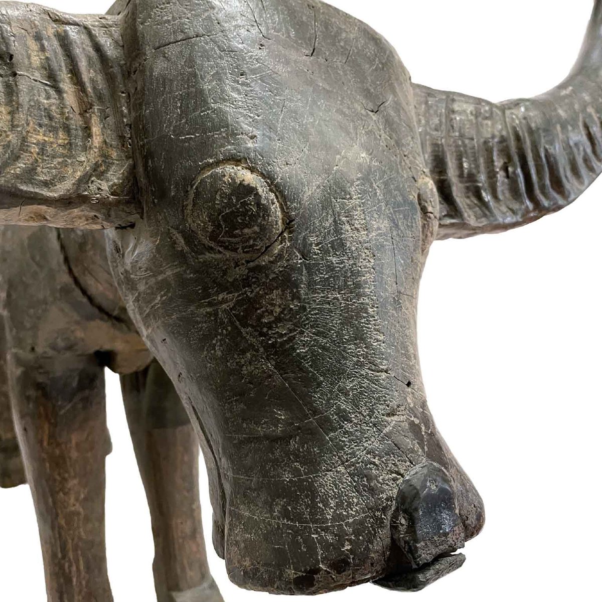 Bufalo D Acqua Scultura Orientale In Legno Con Corna 1800-photo-1