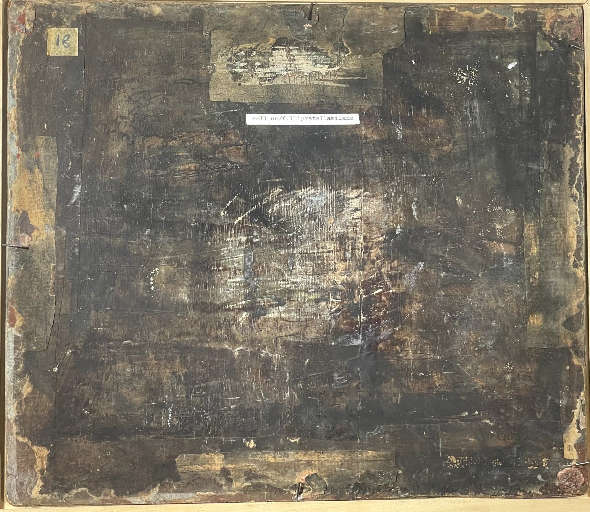 Natura Morta con pesci -photo-4