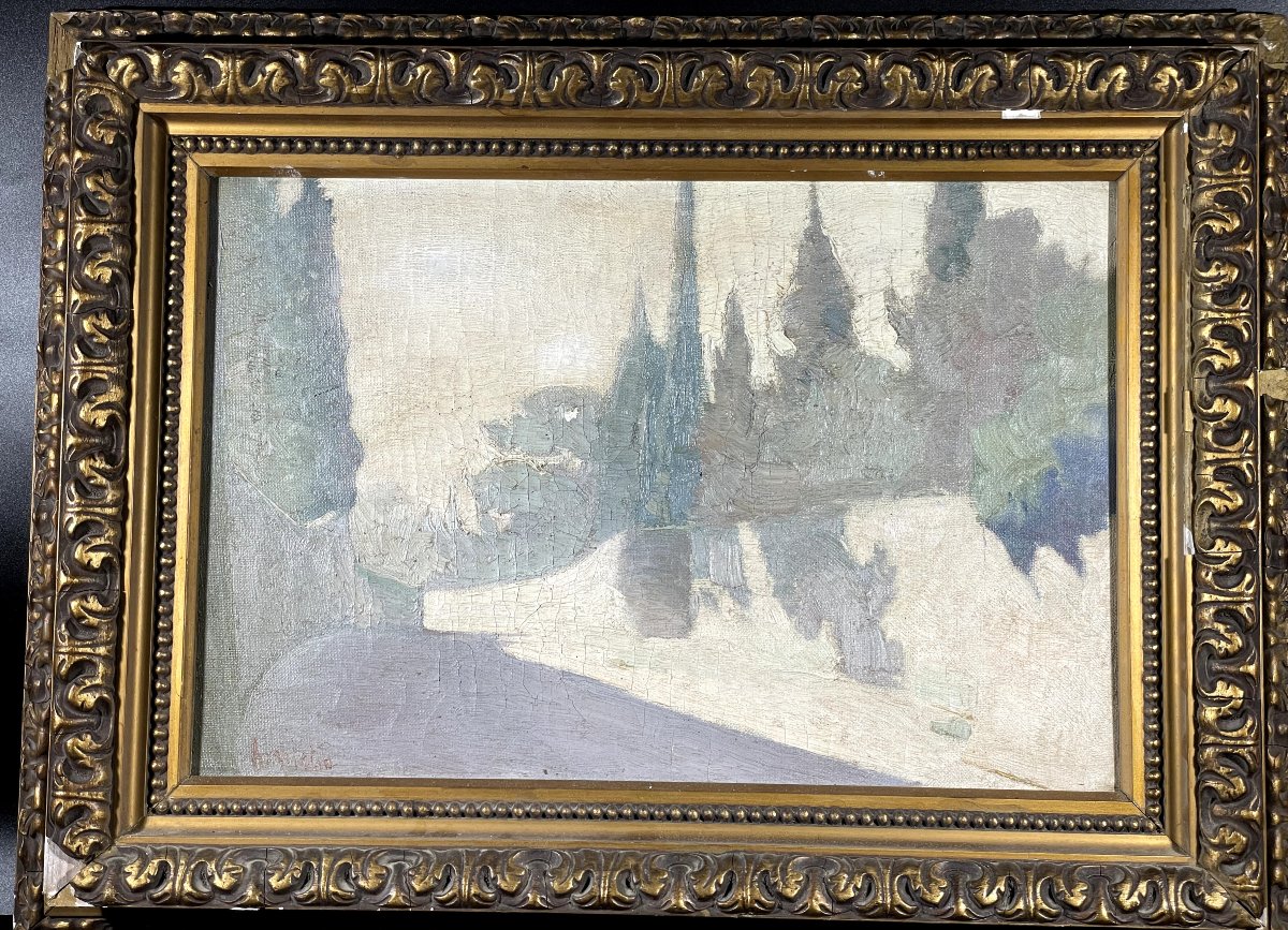 Viale alberato -photo-2