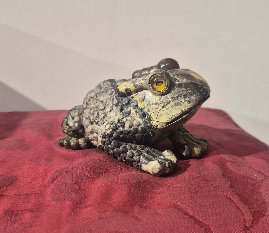 Rospo in riolite,Wunderkammer-photo-4