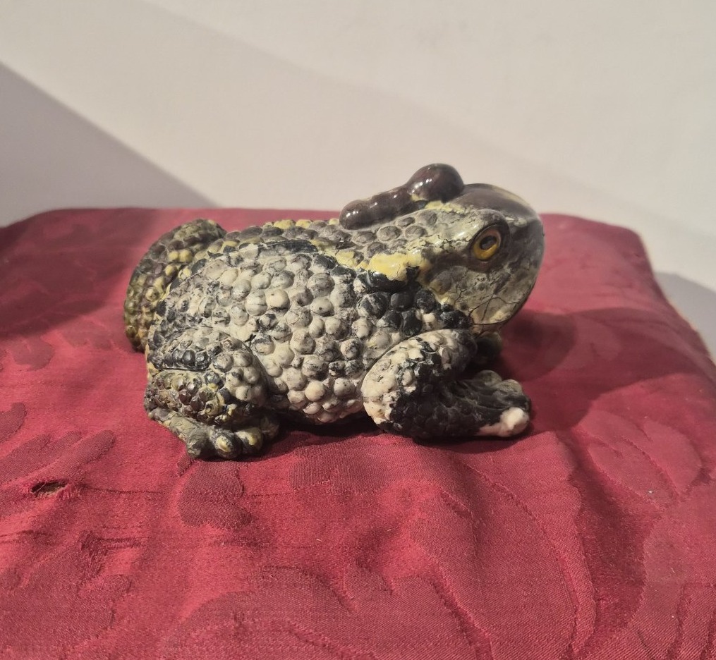 Rospo in riolite,Wunderkammer-photo-1