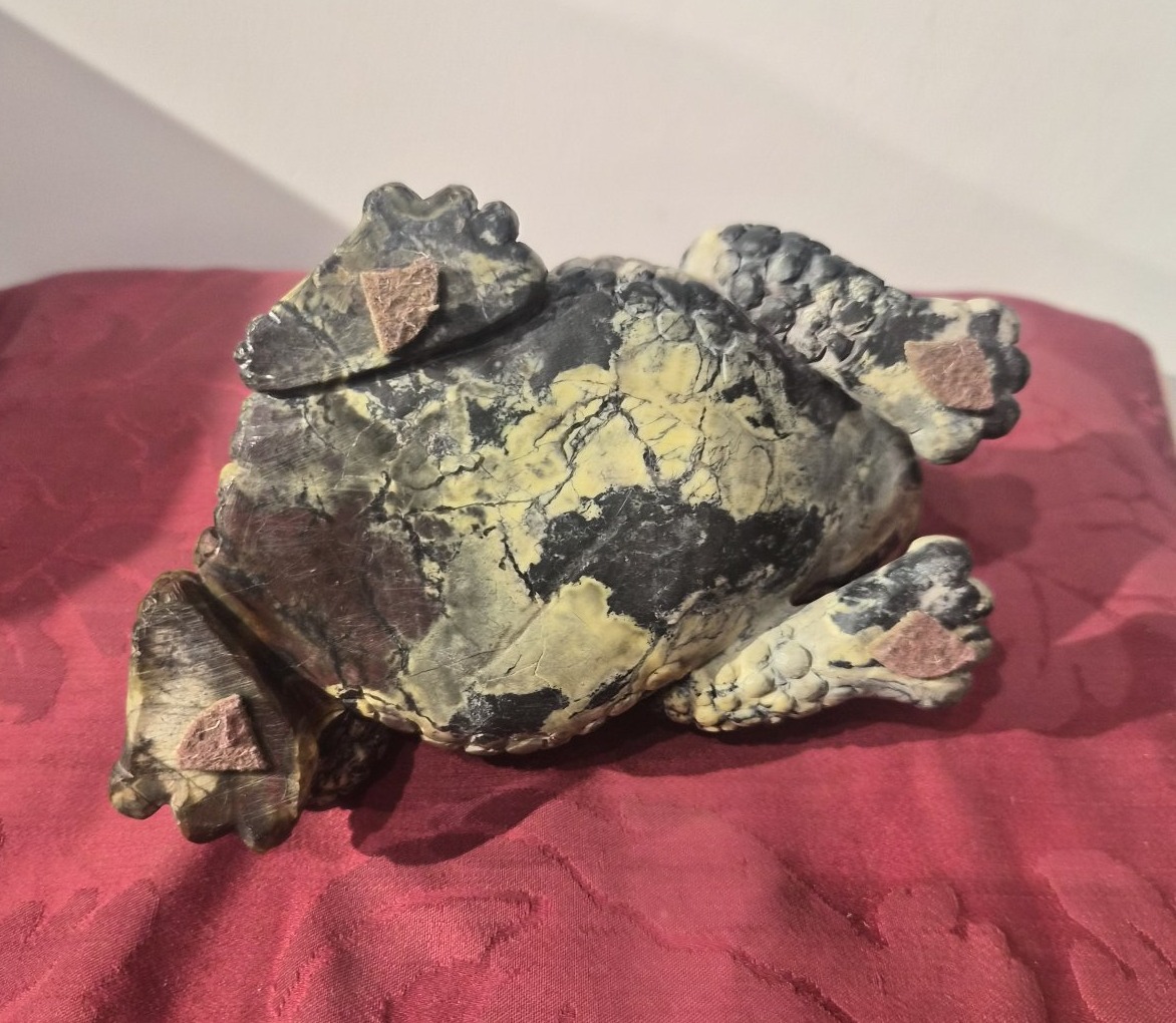 Rospo in riolite,Wunderkammer-photo-3
