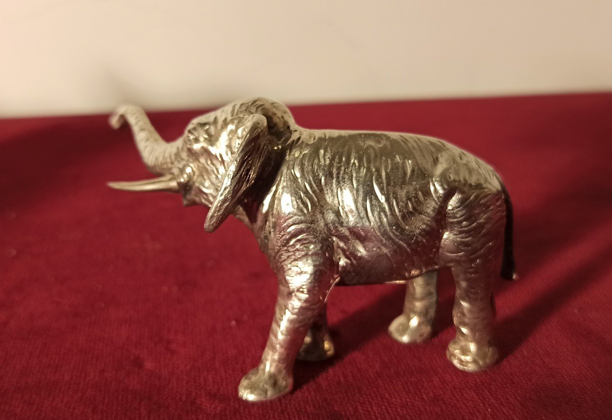 Éléphant En Argent-photo-4