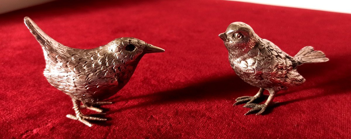 Famiglia di uccelli in argento-photo-2