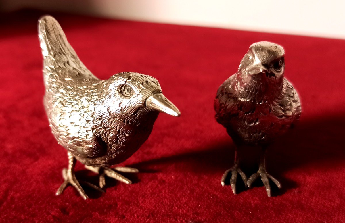 Famiglia di uccelli in argento-photo-4