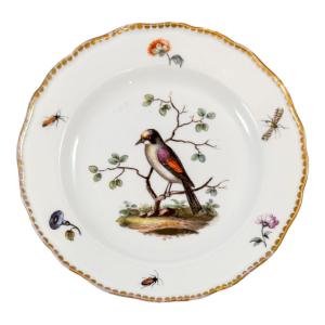 1820's Meissen Porcelain Scalloped Rim Plate With Decoration Of Bird, Insects And Flowers