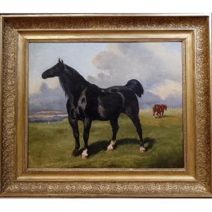 Alfred De Dreux Attributed To "majestic Horses Frolicking In The Meadow"