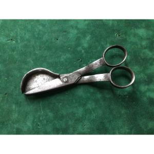 Mouchette XVIIIth Century