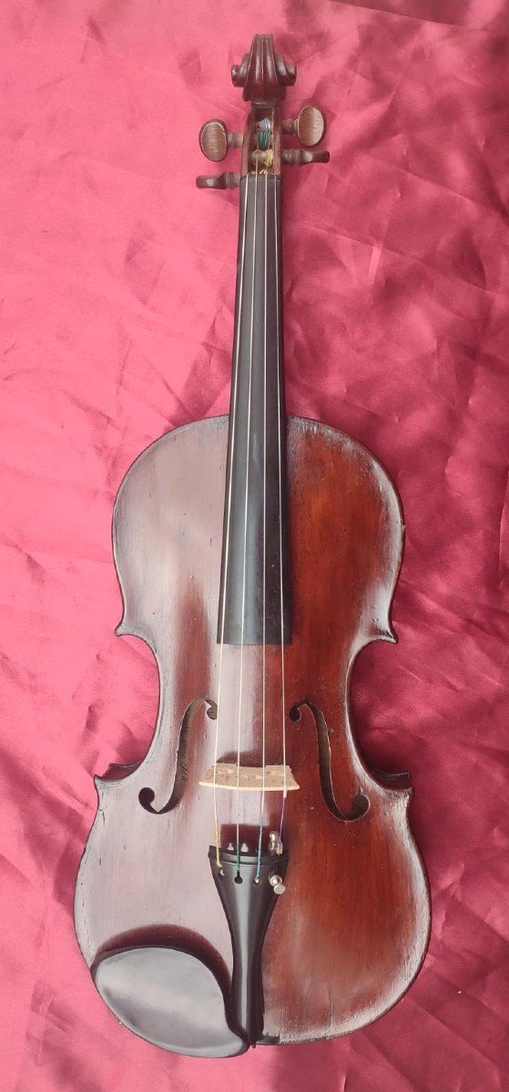 Mathias Albani violino di liuteria italiana Bolzano 1906-photo-4
