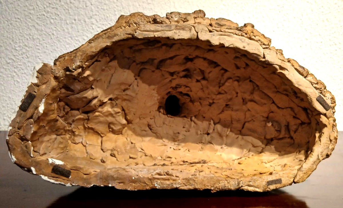 Giovanni Bastianini - Busto in terracotta raffigurante un membro della Famiglia de Medici-photo-2