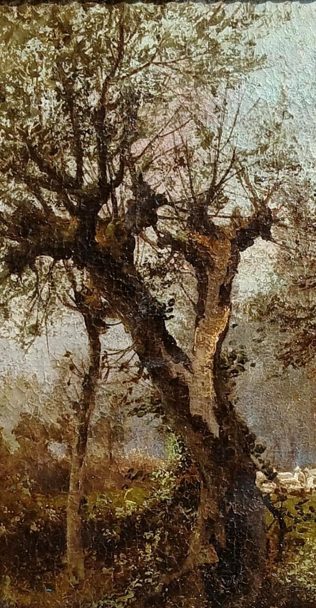 Michele Catti- Palermo 1855-1914 -'L'Albero spaccato' 1889-90- Olio su tela riportato su tavola-photo-3