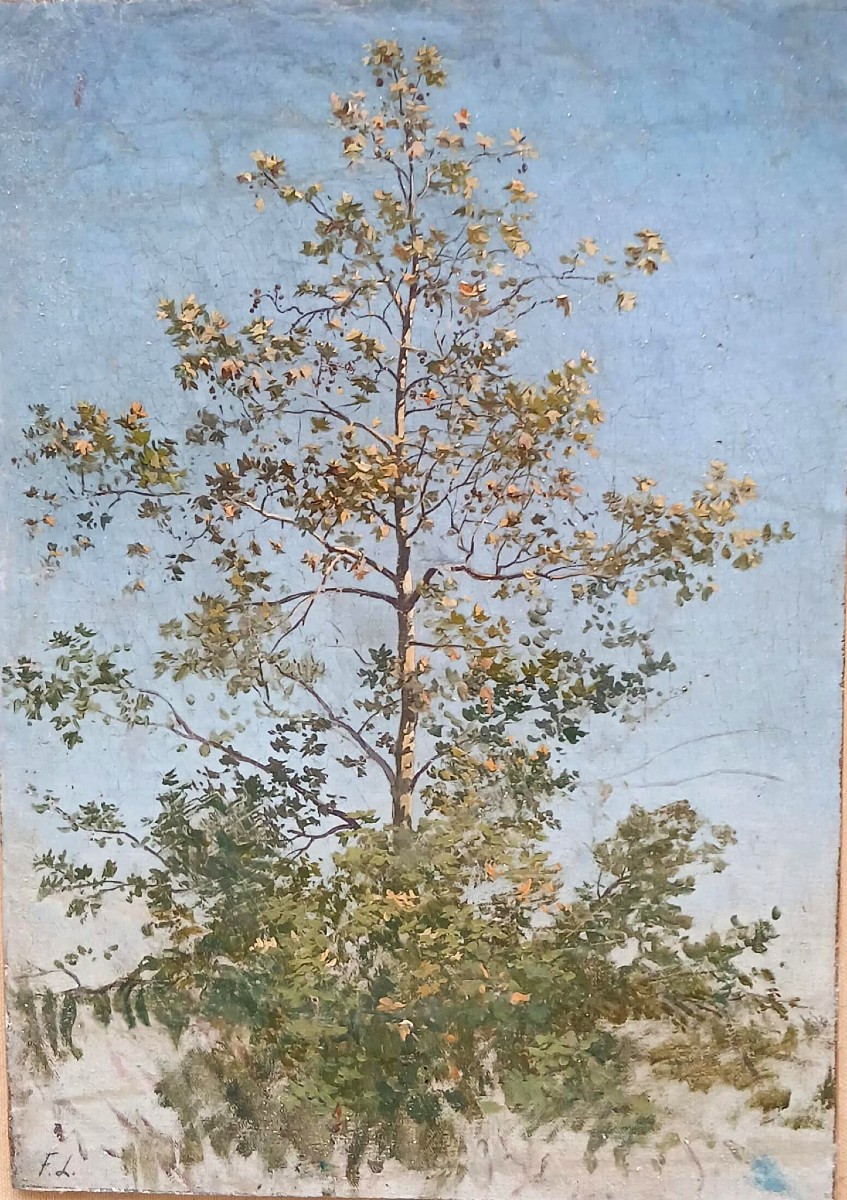 'Il Platano solitario'. Raffinato bozzetto opera del Maestro siciliano Francesco Lo Jacono.-photo-2