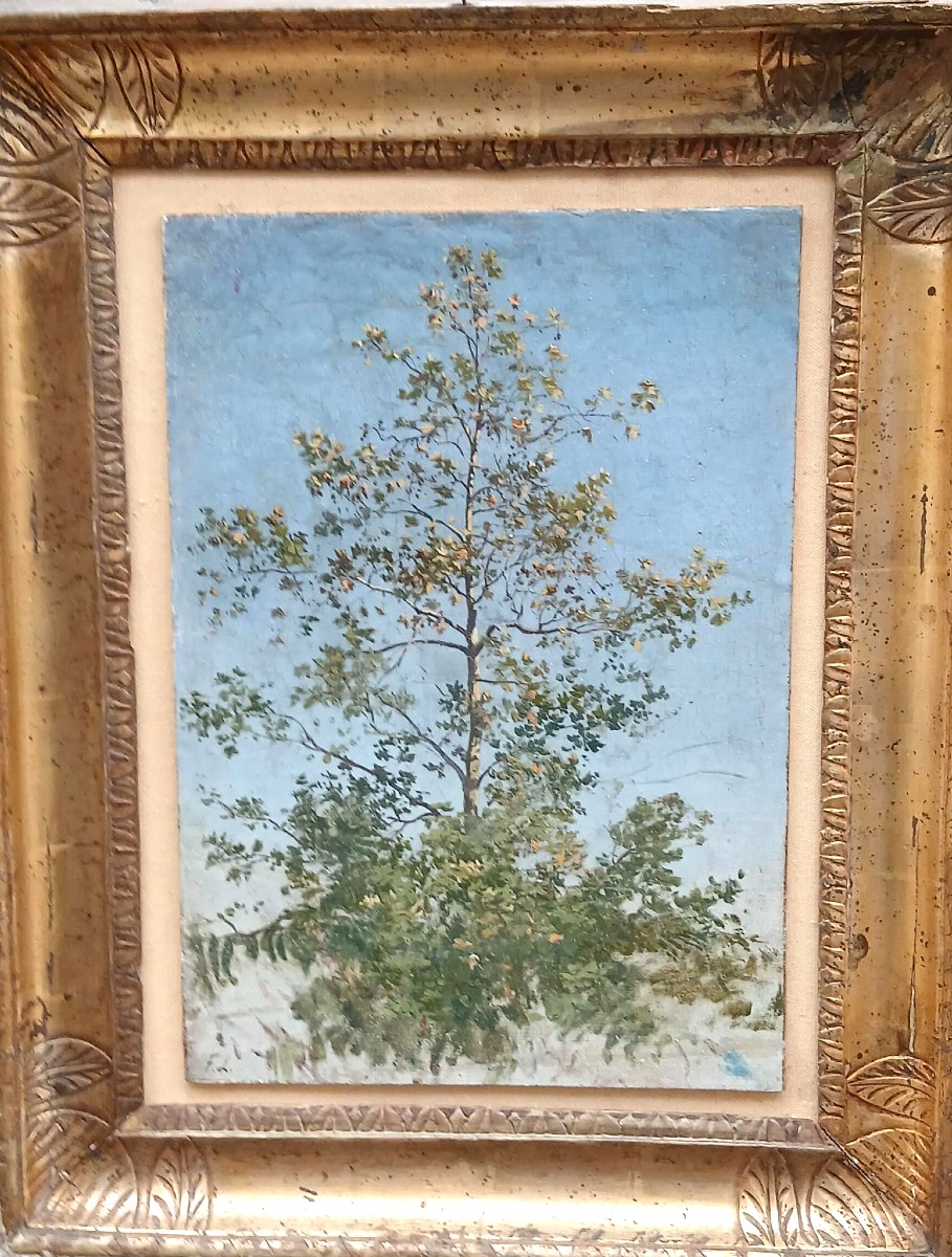 'Il Platano solitario'. Raffinato bozzetto opera del Maestro siciliano Francesco Lo Jacono.