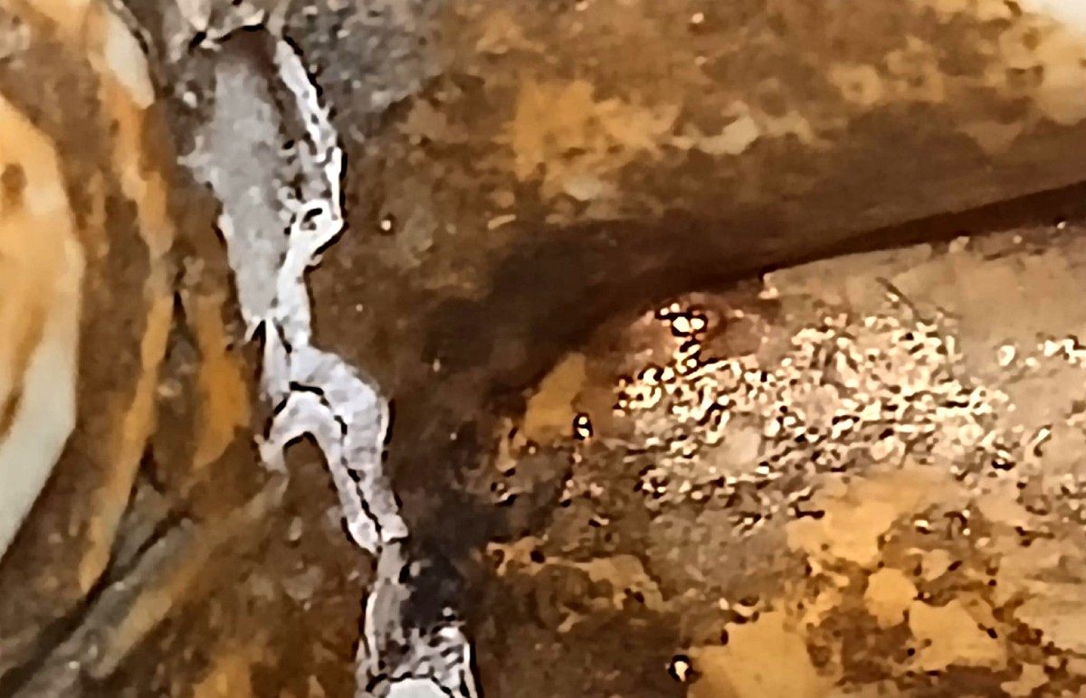 Un canard nettoyeur de pinceaux en ivoire sculpté, datant de la dynastie Song. -photo-2