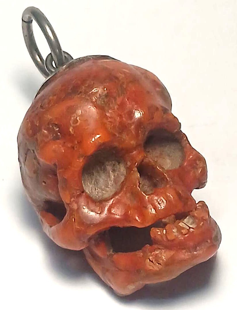 Teschio scolpito da grosso ramo di Corallo. Vanitas scaramantica trapanese del XVII secolo.-photo-2
