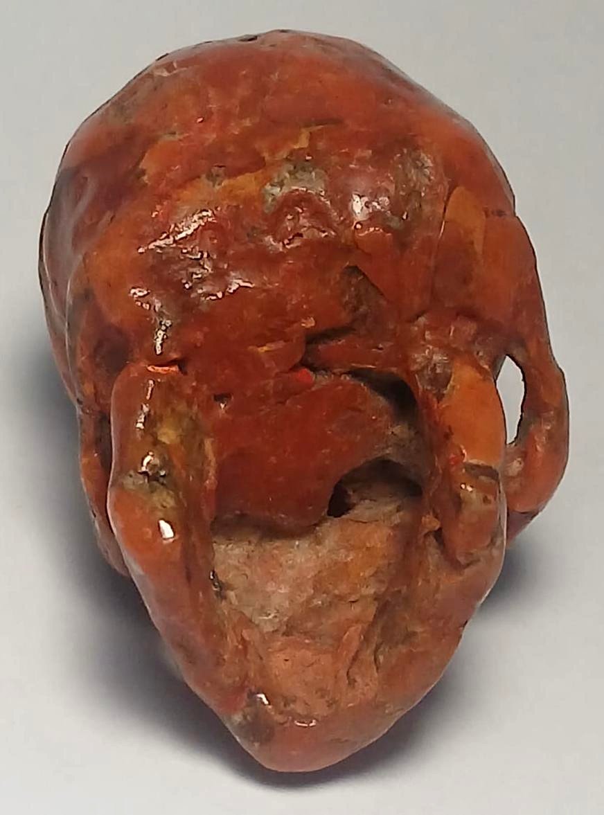 Teschio scolpito da grosso ramo di Corallo. Vanitas scaramantica trapanese del XVII secolo.-photo-4