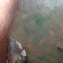 1587702-alb-687be055b67cd.jpg