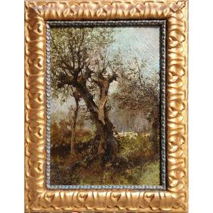 Michele Catti- Palermo 1855-1914 -'L'Albero spaccato' 1889-90- Olio su tela riportato su tavola