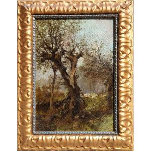 Michele Catti- Palermo 1855-1914 -'L'Albero spaccato' 1889-90- Olio su tela riportato su tavola