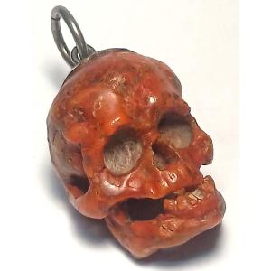 Teschio scolpito da grosso ramo di Corallo. Vanitas scaramantica trapanese del XVII secolo.