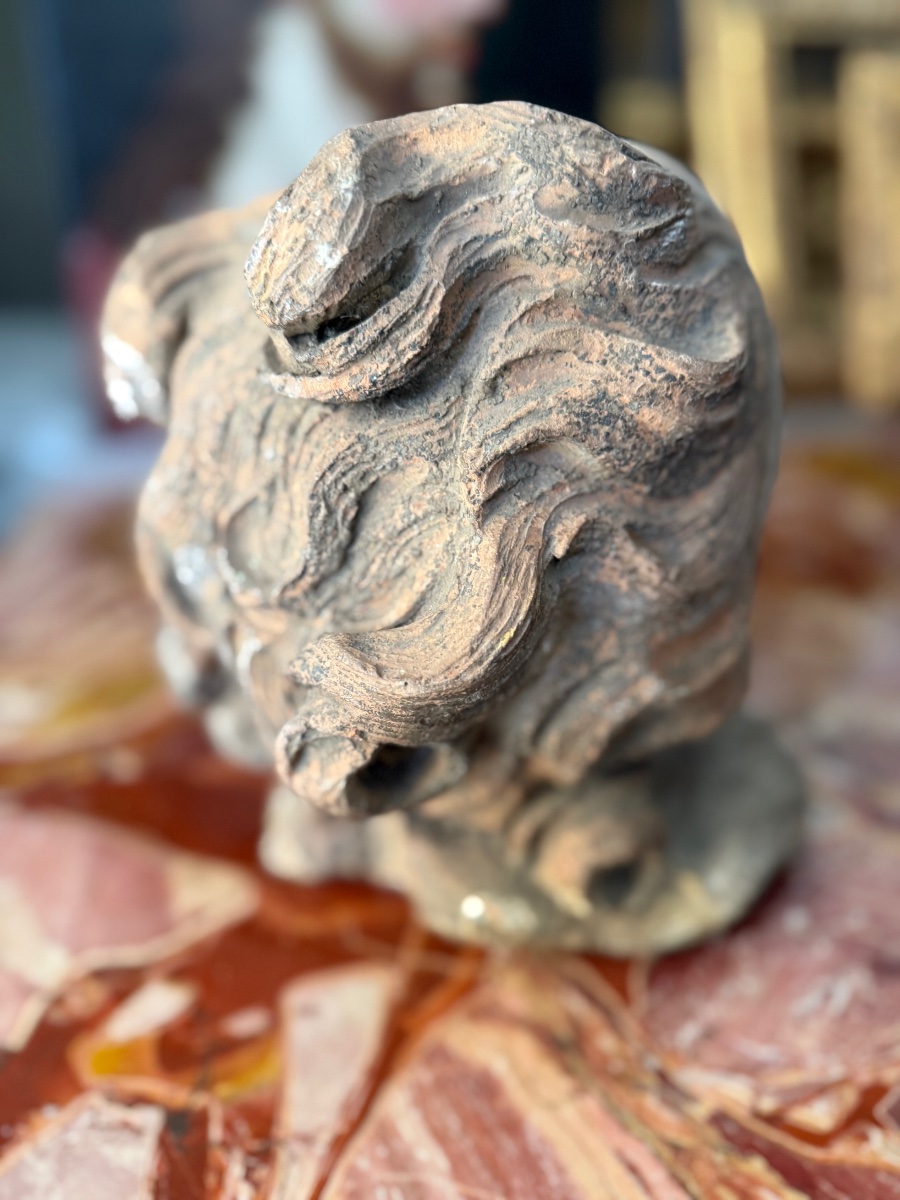 Plasticatore romano del sec. XVII Testa di putto in terracotta-photo-4