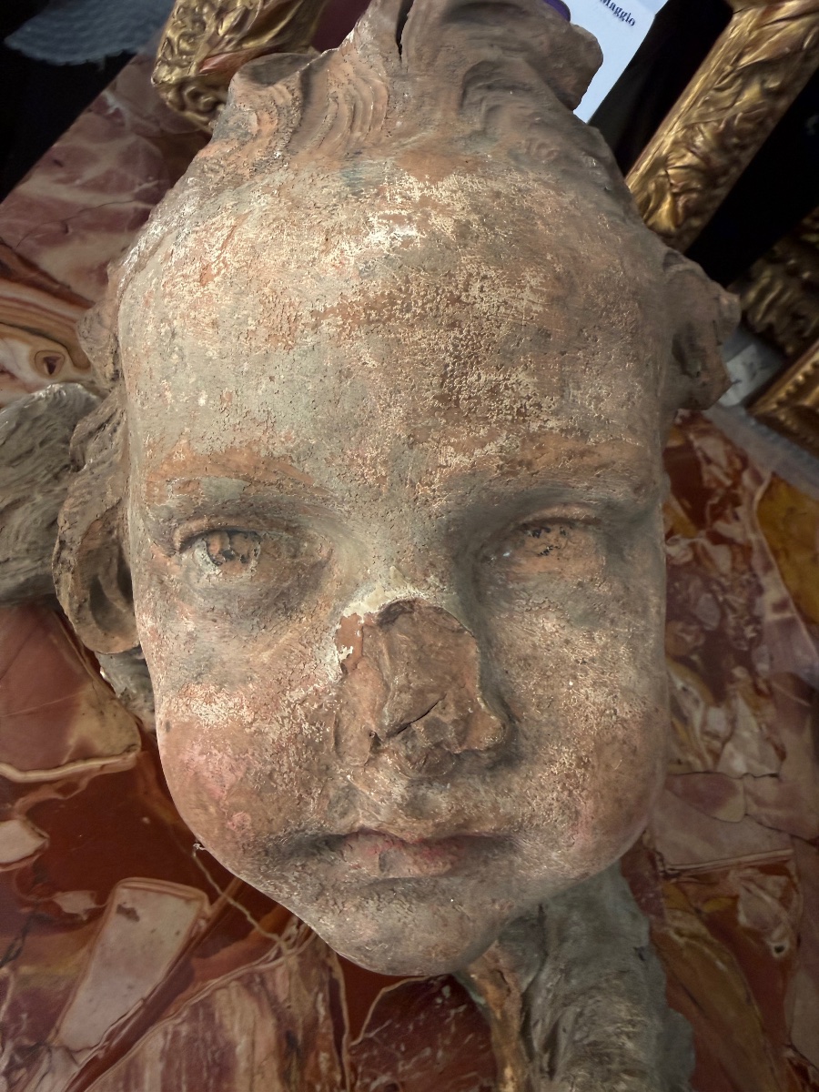 Plasticatore romano del sec. XVII Testa di putto in terracotta-photo-3