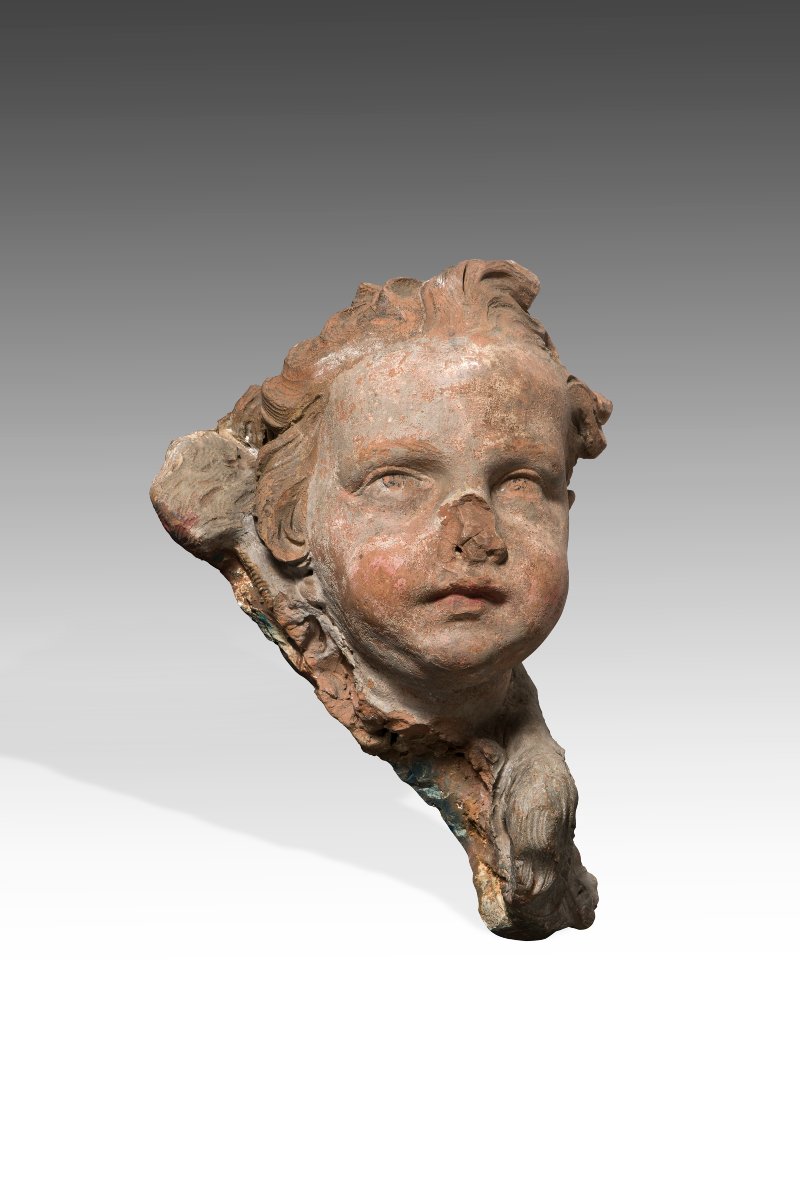 Plasticatore romano del sec. XVII Testa di putto in terracotta