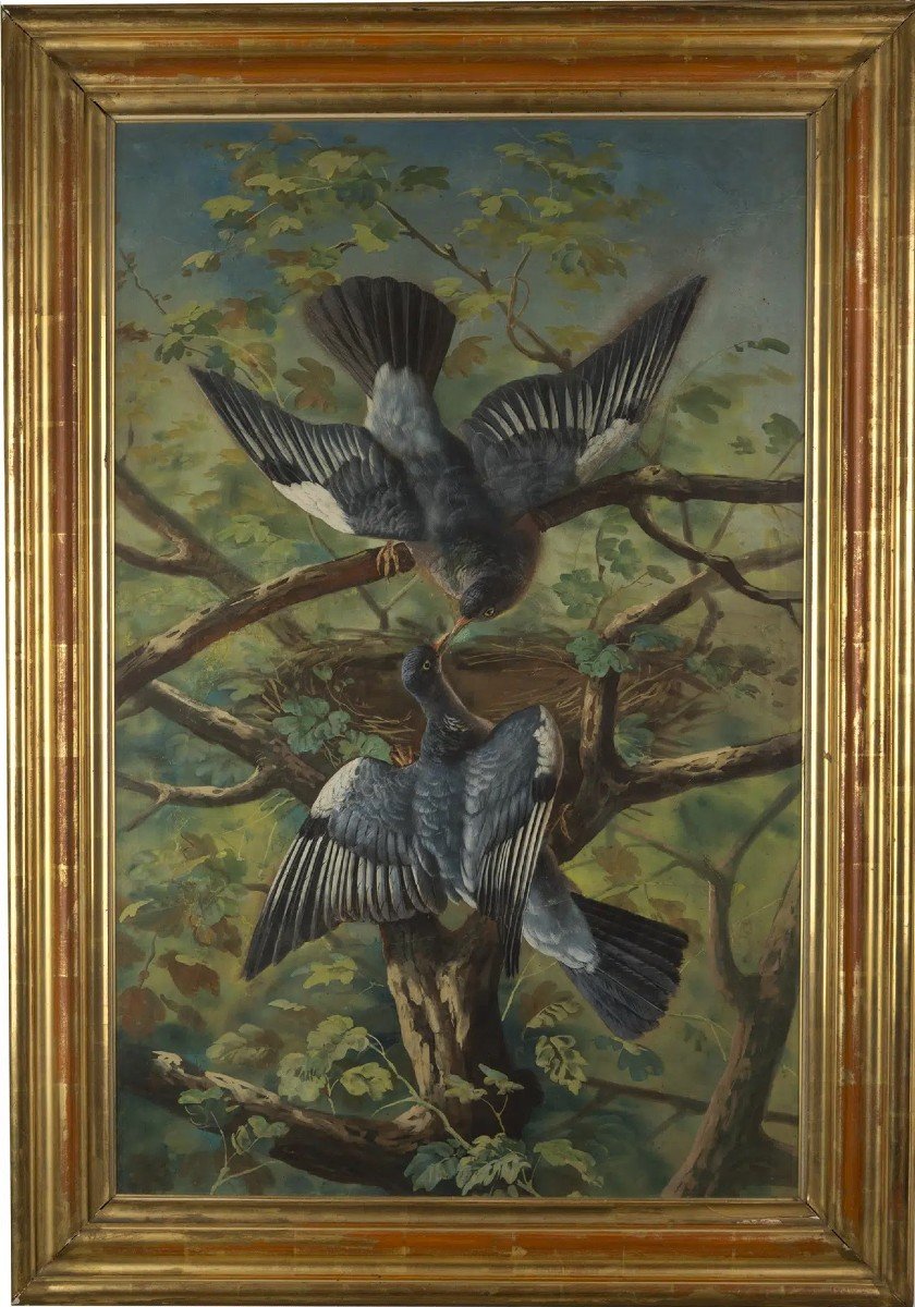 Friedrich Wilhelm Kunhert (attr) 2 gouaches pappagalli e ghiandaie- Germania Polonia-photo-2