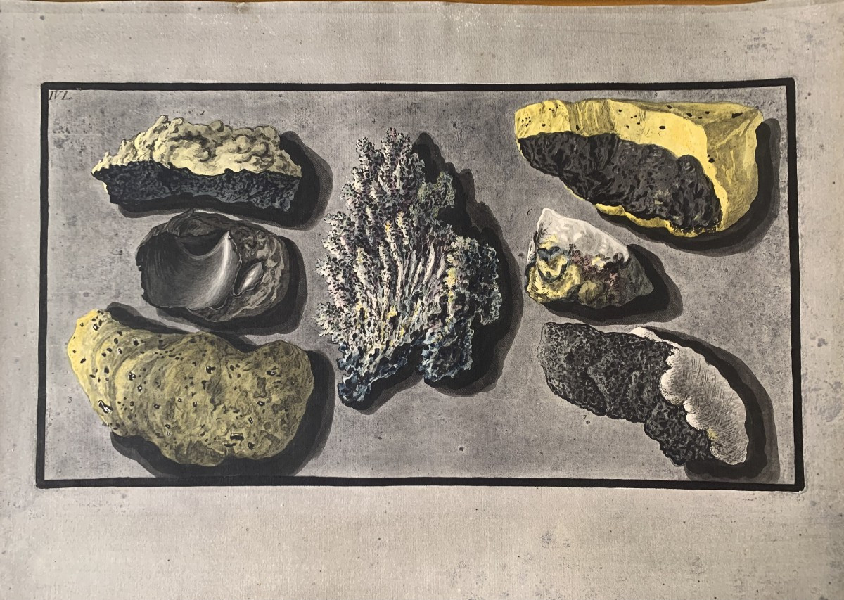 P. Fabris - W. Hamilton - Campi Phlegraei - 5 Tavole Minerali - Napoli - Italia Vulcanologia -photo-2