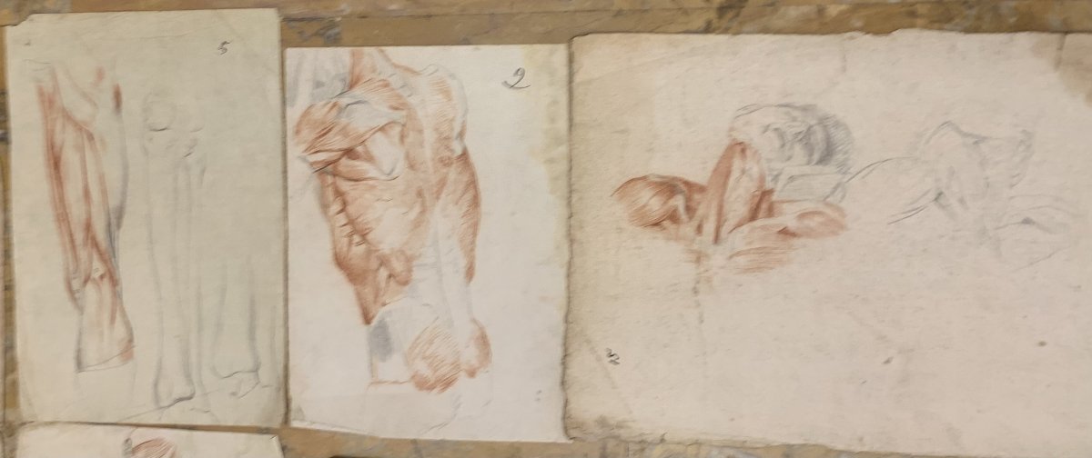 Anatomia accademica - 36 disegni di studi muscolari - 1820 e 1896 Accademia di Medicina nu-photo-7