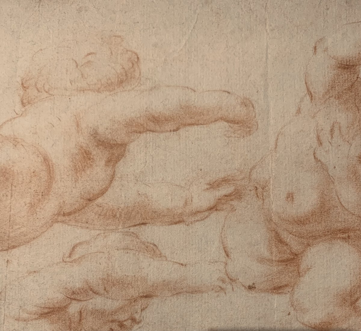 Scuola italiana - Putti - doppio disegno a sanguigna - fine XVII secolo - Italia  -accademia--photo-2