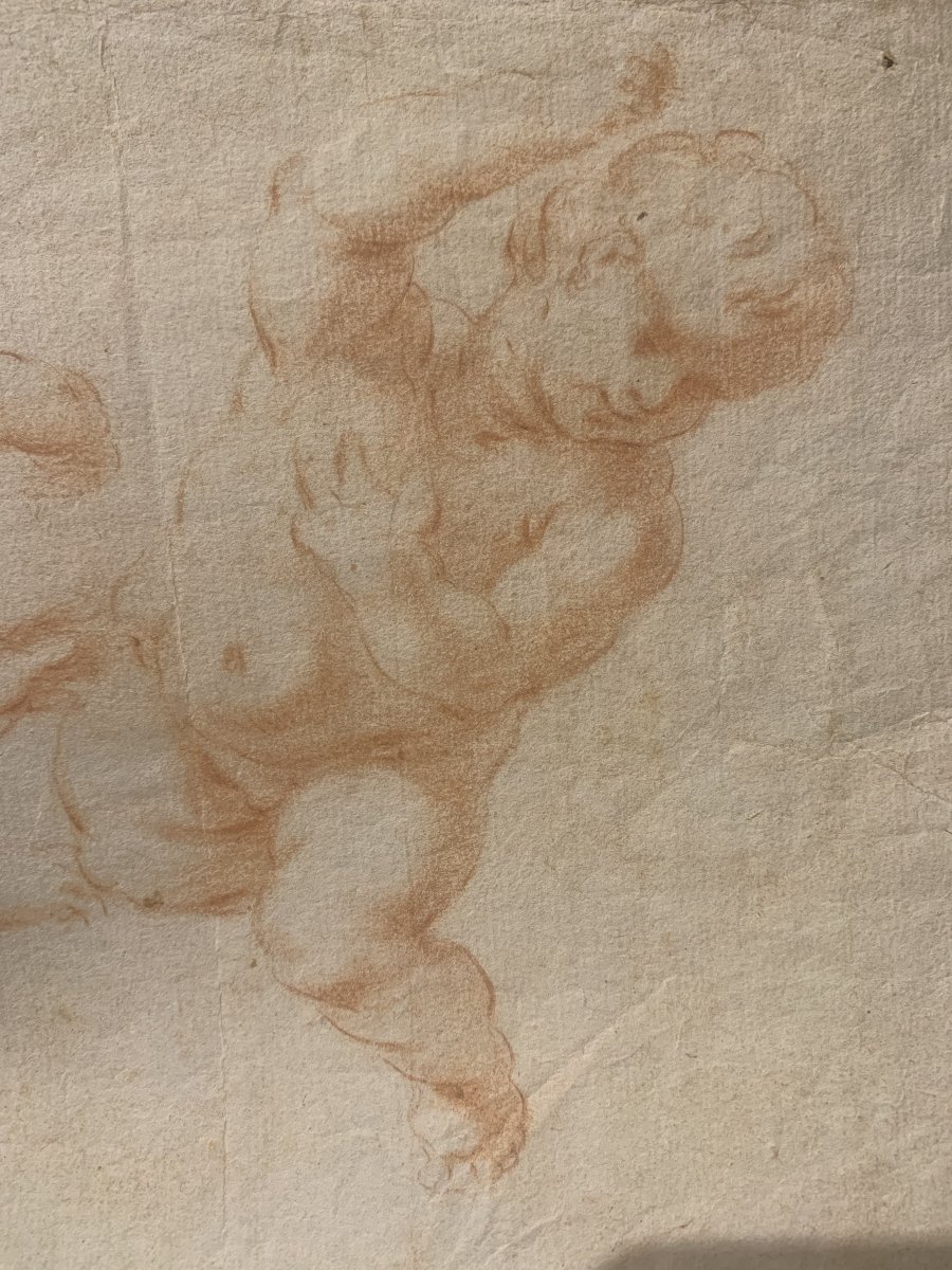 Scuola italiana - Putti - doppio disegno a sanguigna - fine XVII secolo - Italia  -accademia--photo-4
