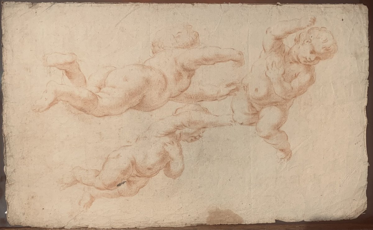 Scuola italiana - Putti - doppio disegno a sanguigna - fine XVII secolo - Italia  -accademia-