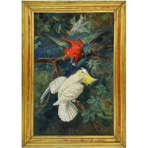 Friedrich Wilhelm Kunhert (attr) 2 gouaches pappagalli e ghiandaie- Germania Polonia