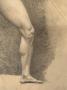 1582330-alb-686fb81452d02.jpg