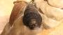 1834193-6ac683bf24b49.jpg