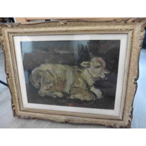 Painting Portrait Calf Signed Urbani Oil/panel From The 20th Century