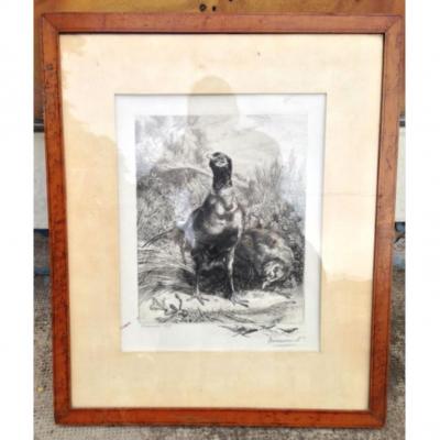 Braquemond 1899 - Couple Of Pheasant Engravers - Print - Etching On Laid-back Paper