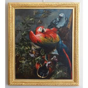 Dutch School 17th Parrot And Parakeet Hst Attributed To Mathias Whithoos - 93.5 X 109cm