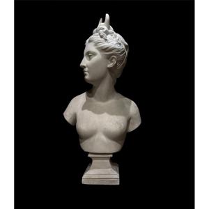 Bust Of Diana The Huntress 